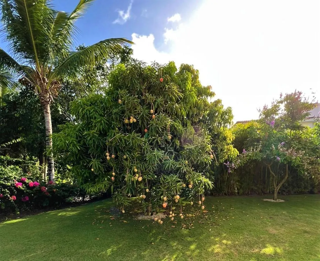Luxury Villa Iberosta Del Mar - 4Bdr, Private Beach, Pool & Jacuzzi Punta Cana